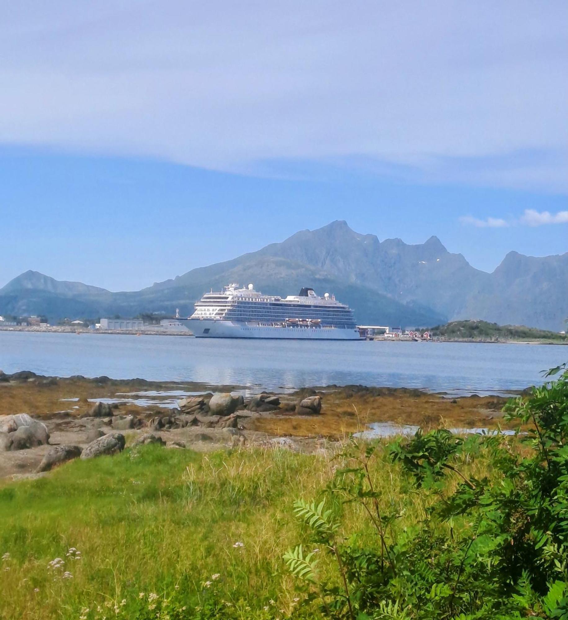 Beautiful Lofoten Well Equipped Nice Apartment Gravdal  Экстерьер фото